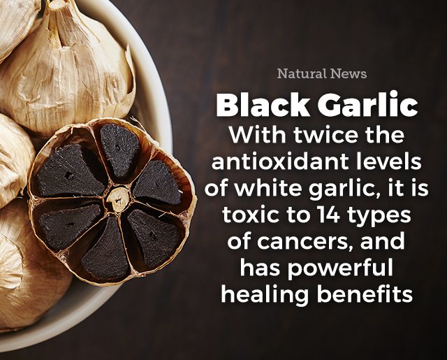 HealthRanger's tweet photo. Mother Nature has the power to heal. #naturalmedicine #health https://t.co/iUqKpDNQ7Z
