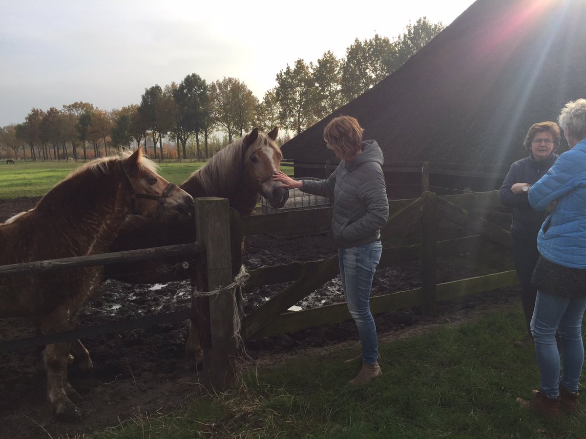 SamenDoenTeam's tweet photo. Samen Doen team #ommen was on tour langs zorginstellingen om kennis te maken, te leren over elkaars werk en de #samenwerking te verbeteren https://t.co/CuZPZYmqpA