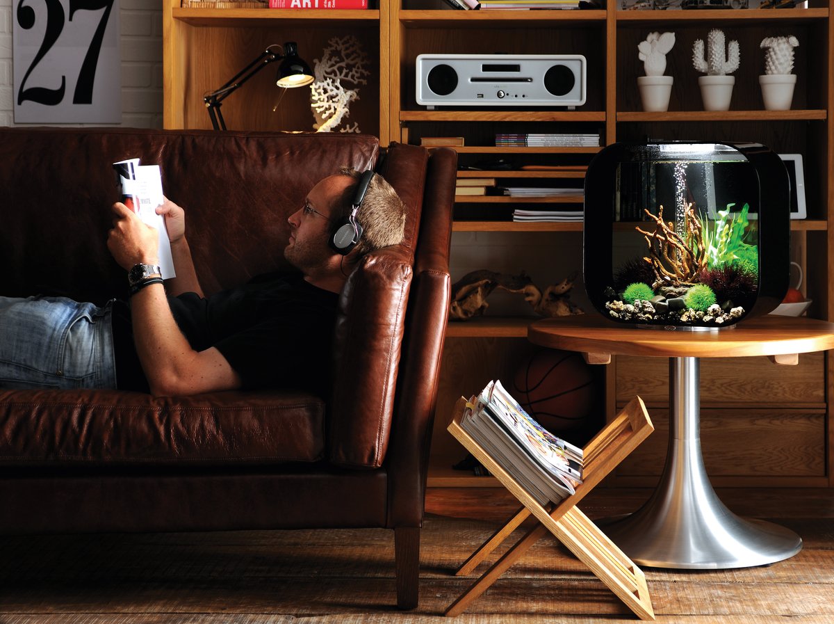 Was machen Sie bei dem herbstlichen Schmuddelwetter? Unser Tipp: Die alten CDs und Platten hervorholen und einfach mal abschalten. 
>>#OASE #biOrb bit.ly/2q1sJHz