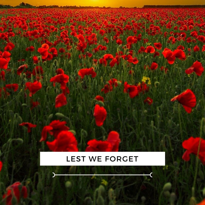 SafeTech_Alarm's tweet image. Remembrance Day is tomorrow. Lest We Forget.