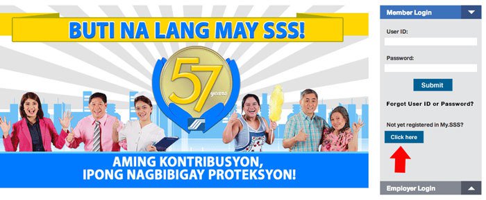 sofia tang tweet media