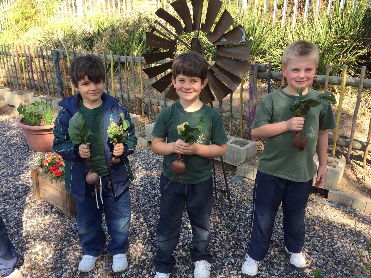 ClothestoGood's tweet photo. Tyger Valley College, Pretoria raised funds through the Clothes to Good programme to sustain their veggie garden. These veggies are used for soup &amp; meals for their outreach school. https://t.co/XurlQO7uWc