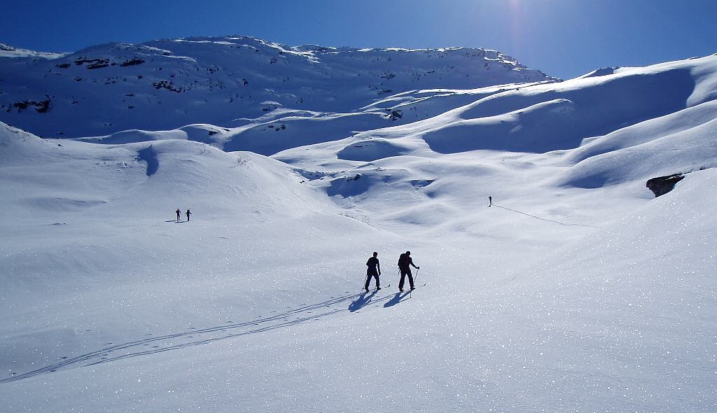 fahrenheitAI's tweet photo. What a wonderful view! 
Credit to @skibright
#ski #skiing #freeski #skimo #skitouring#mountains #alps #outdoors #nature#landscape #winter https://t.co/kcu3KtKNRI