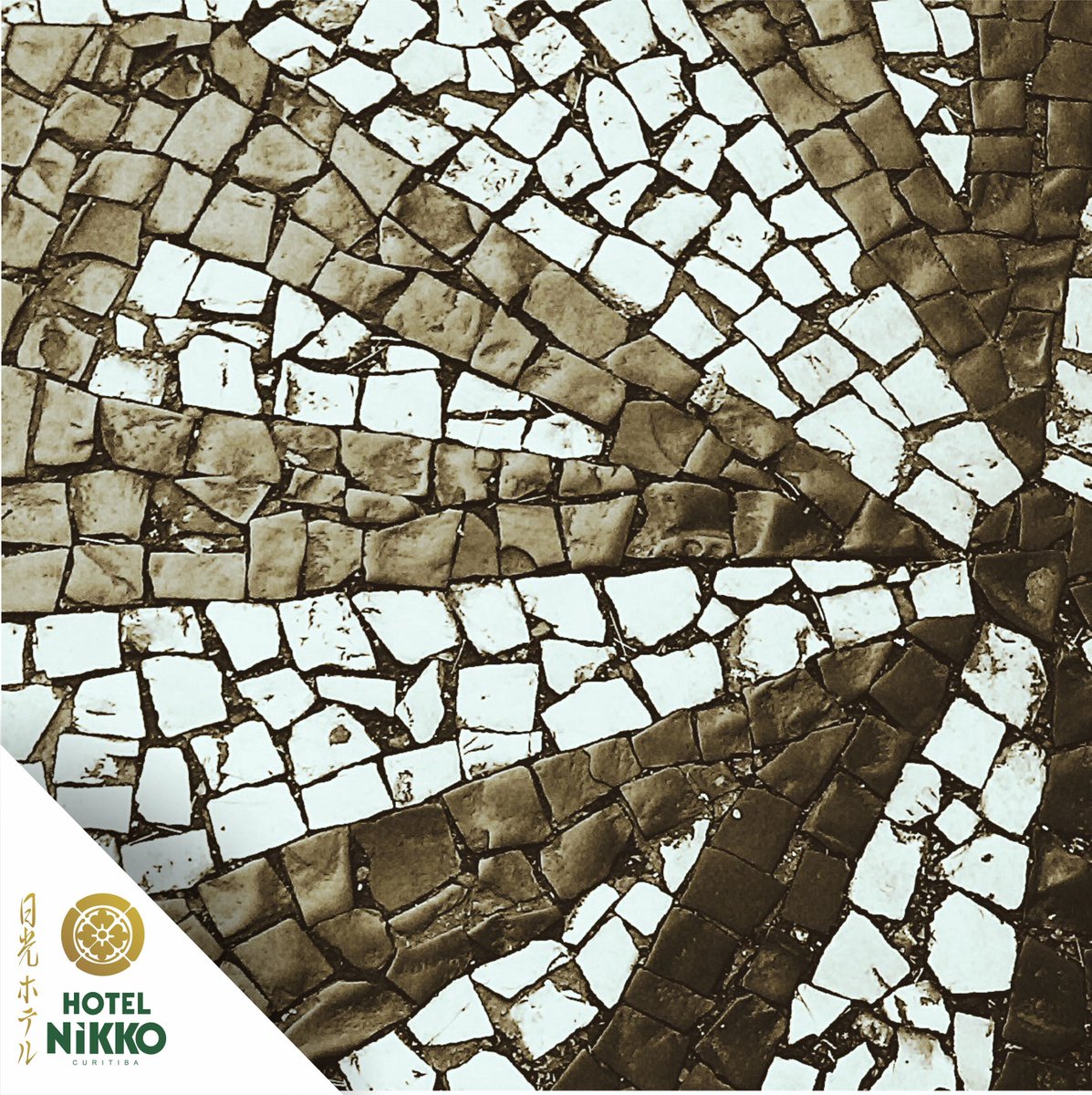 Detalhe da Rosácea Paranista em Petit Pavé, calçamento presente em muitas ruas aqui do centro da cidade de Curitiba!

Faça já a sua reserva!
0800 709 1808
41 2105 1808
Wpp: 41 99535 3623

Foto: Bruna Cs via Flickr