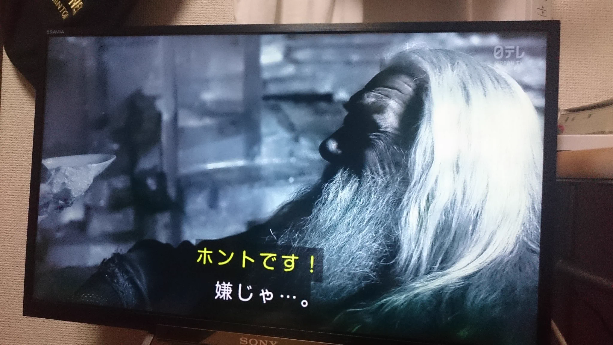 大学生の飲みサークルにありそうな光景。さあ飲み続けて下さい。