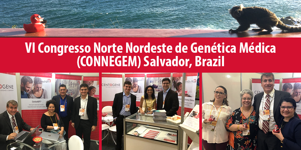 Centogene's tweet photo. Thanks to all our visitors during the CONNEGEM in #Brazil. Enjoyed great talks and insights about #Genetics. #Genomics #NGS #GeneticTesting #Science #Research #BigData #Diagnostics #WGS #Biomarkers #CentoNIPT https://t.co/b1if5iwfbJ https://t.co/TVB1fk3CSw