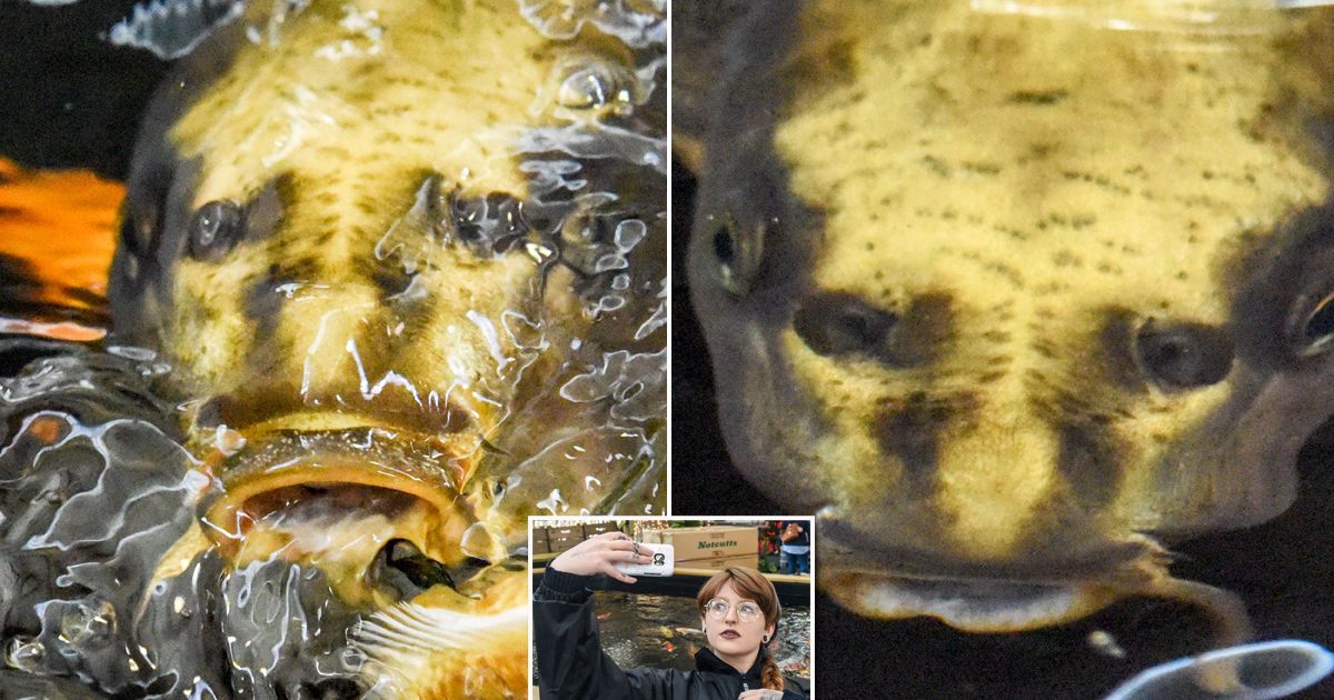 The Fish Gape Is The New Duck Face Selfie: What People Think Of Both |  YourTango