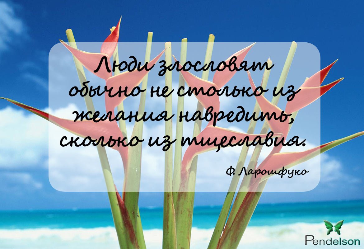 2Pendelson's tweet photo. #желание #воображение #обладание #психология #цитата #отношения #любовь #дружба #вред #тщеславие #злословие #мысли #чувства #семья #pendelson #привычки #постоянство https://t.co/LHVUIdhmAw