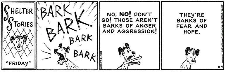 Every single "Shelter Stories" strip..."They're barks of fear and hope" 