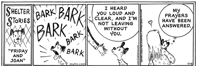 Every single "Shelter Stories" strip..."They're barks of fear and hope" 