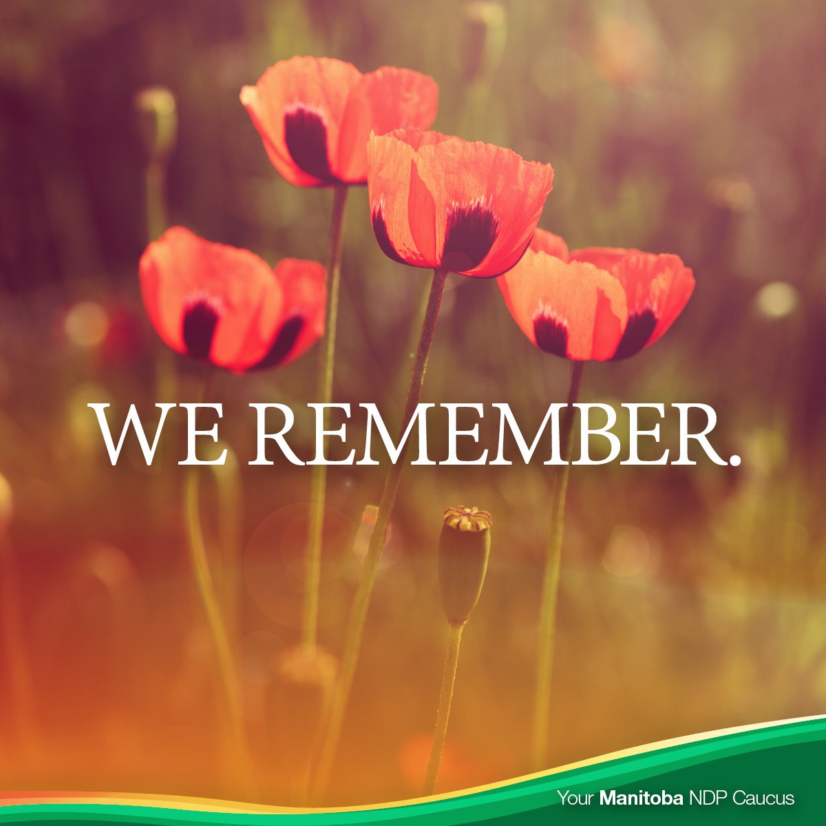 Flor Marcelino tweet media