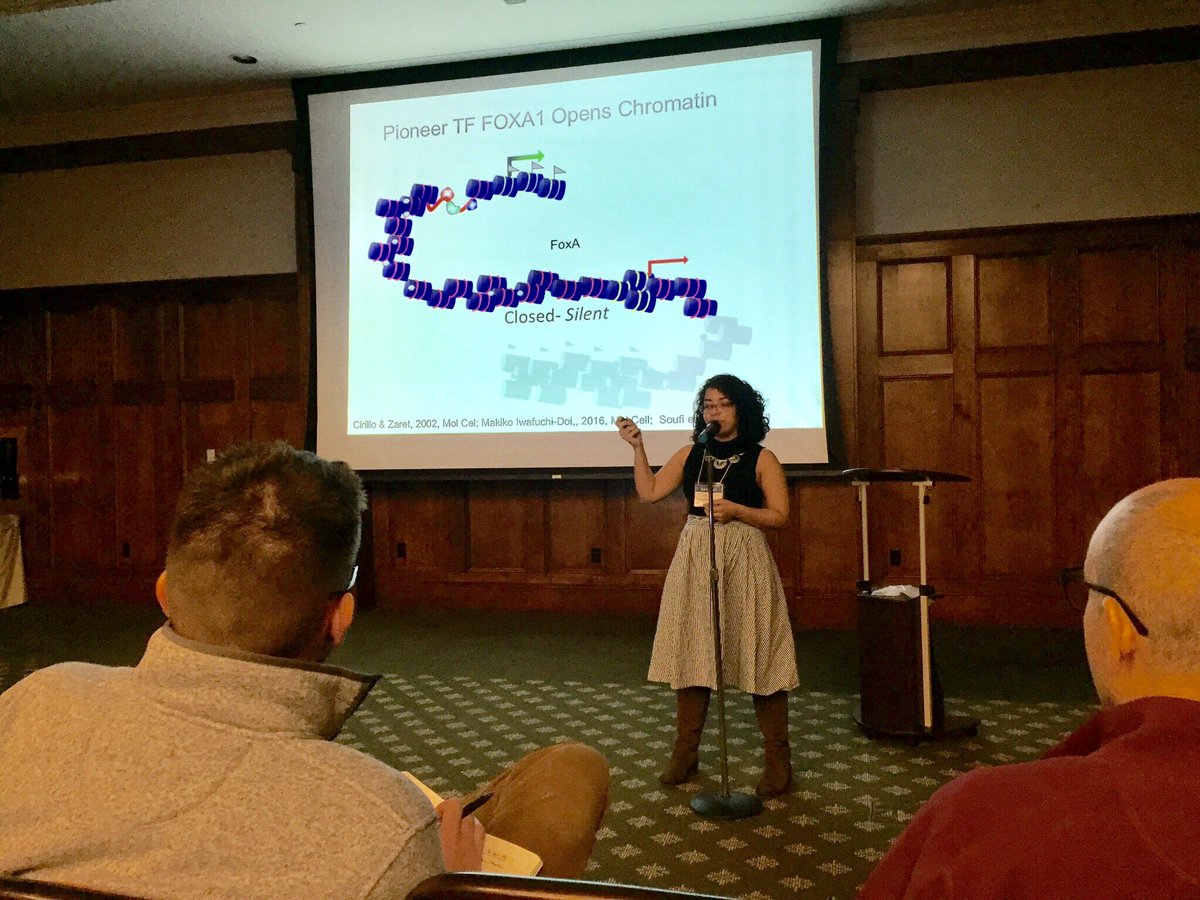 Sharing my discoveries with amazing scientists @BMBGGUPENN retreat. #transcriptionfactors #chromatin #nucleosomes #pioneerTFs