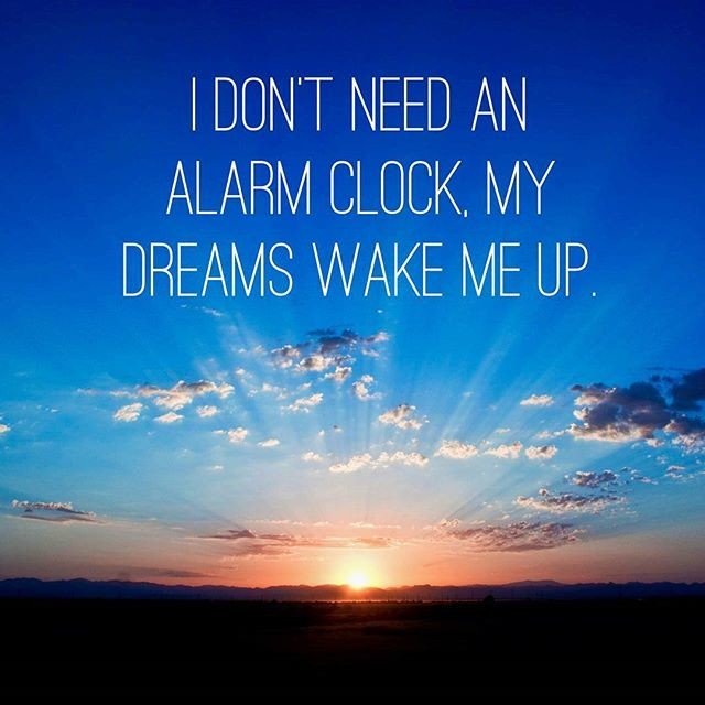 talentedreamers's tweet photo. Reposting @nikola_loncarevic:
What about you?
.
.
.
.
.
#blswapparel #streetworkout #BLSW #motivationalquotes #quotes #fitness #fit https://t.co/nrAMOI8u1D