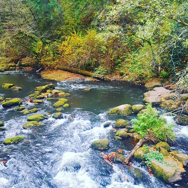 The view of Lacamas Creek from McEnry Bridge, a picturesque stop along the Lacamas Creek Trail. #northbanknow #goplayvancouver #getoutside #takeahike #parksandrec #happytrails #camaswa #visitvancouverusa