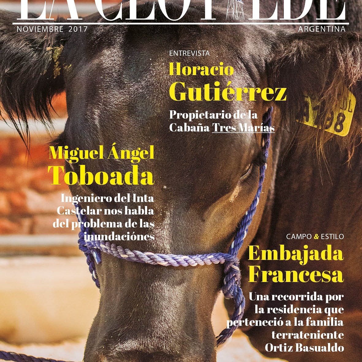 LaClotildeOk's tweet photo. #RevistaLaClotilde #Nueva #Edicion42 #Campo #Cultura #Negocios www.laclotilde com Facebook https://t.co/z276yd9xOd