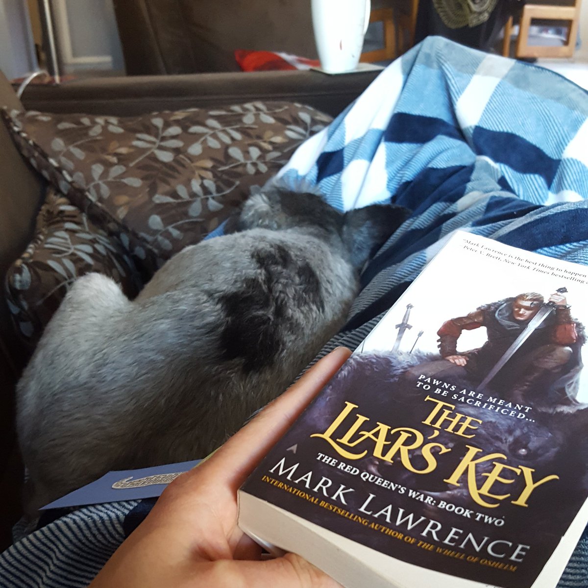 MylesGraham91's tweet photo. Bliss #theliarskey @Mark__Lawrence https://t.co/KYUuGl9Zbm