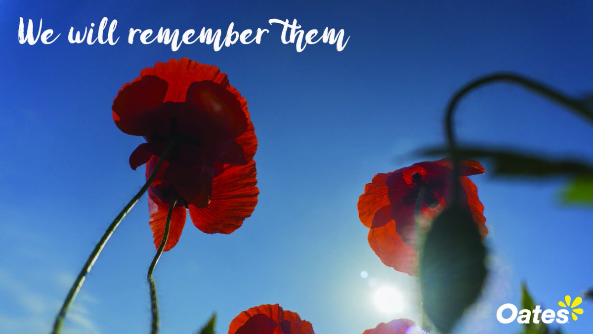 Today we mark the 99th anniversary of the armistice which ended #WW1 with a minute silence. #RemembranceDay #Wewillremember #Poppies