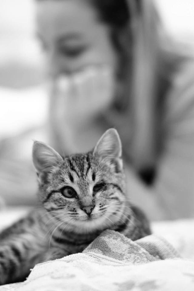 uniquelyjulia's tweet photo. We’ve adopted! https://t.co/Dg0VMKAGtI