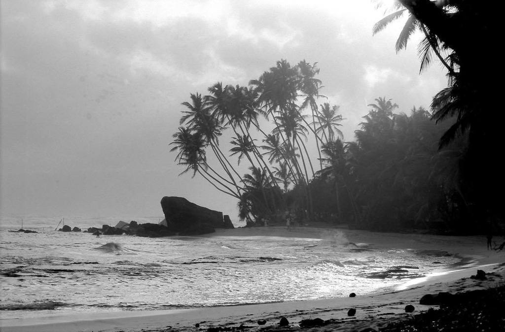 alecolizzi's tweet photo. #srilanka #blackandwhitephotography #Street #streetphotography #documentary #travel #blackandwhite #documentarypho… https://t.co/Qq5DhSl3FP https://t.co/CcvlDuqFcr