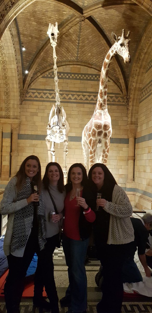 katesbaker's tweet photo. So we are sleeping here tonight! @suzcarrlott @beccagoodman22 @sarmstrong79 #dinosnores https://t.co/JlMsO3r8IC