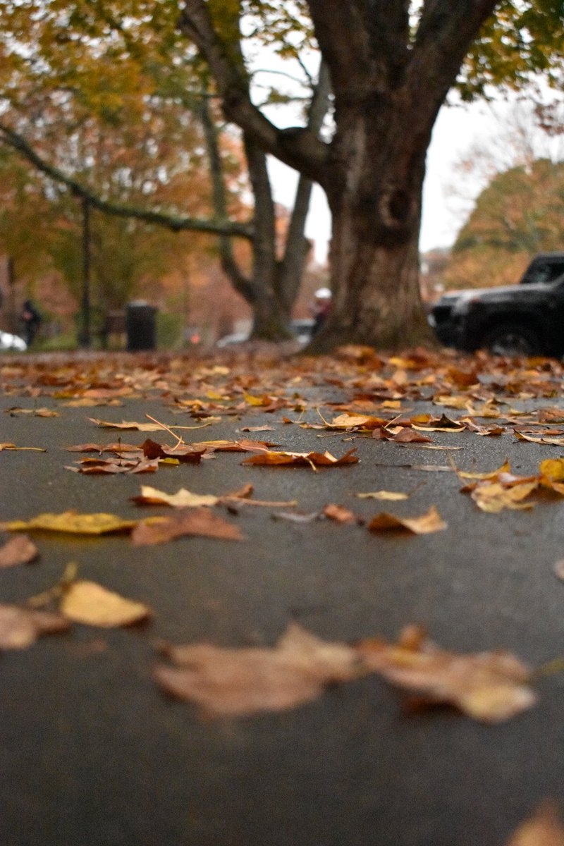 D13__Design's tweet image. The  Journey district13broadcast.wordpress.com/2017/11/10/the…