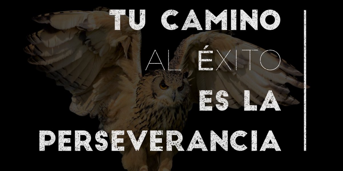 juventud_salud's tweet photo. Hola mis amores tu camino al éxito es la perseverancia #bonitodía #felizviernes https://t.co/nDAlEDMGhw