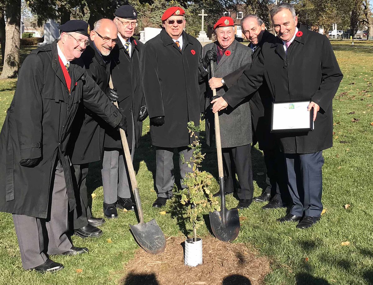 Vimy Oak planted at Belleville's Memorial Park. insidebelleville.com/news-story/791…