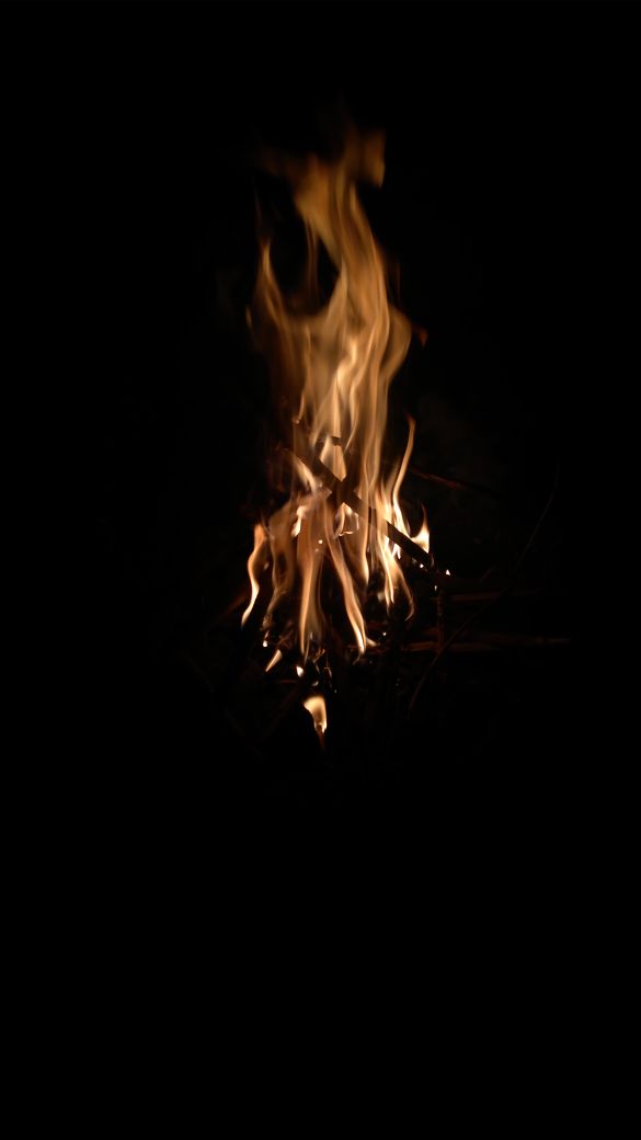 aniltanu143's tweet photo. #late_night
#campfire https://t.co/1o1lD5SiIO