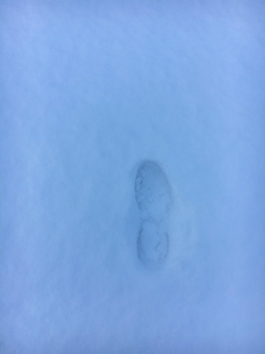 chgabouleaud's tweet photo. Et ensuite, j’étais dans un parc, plein de neige immaculée... forcément... #Apollo11 #CheapSpace
A vous de jouer 😉🚀 https://t.co/eVgJBYoVhj