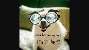 fngirlnms's tweet photo. #FF #authors Happy weekend @brant__landon @ZackLoveAuthor @KenFry10 @JonahPAuthor @WritingReader @SharlynBranson @drduffyauthor @stegalls03 https://t.co/CizrWJgreX