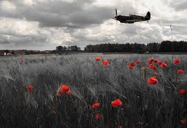 Lest we forget <a href="/MartinLuckGroup/">Martin Luck Group</a> will remember..