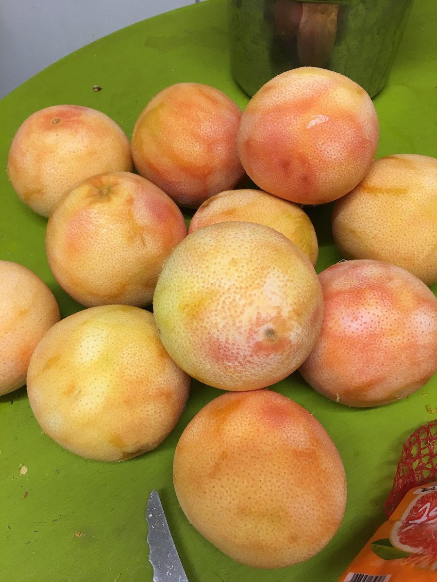 jackcodys's tweet image. The brewery is filled with the sweet aroma of grapefruit and lime zest with a malty background - another batch of Duxie Pale Ale ag teacht!