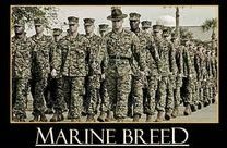 CMDR_Paylor's tweet photo. @Wiress_2017 @USMC @porpentina2017 @snape2017 @TomPaine1737 @lifeisfluff_44 @ParisNeully Happy Birthday, Marines! The few, the proud. Semper Fidelis https://t.co/5gIfIjgJa2