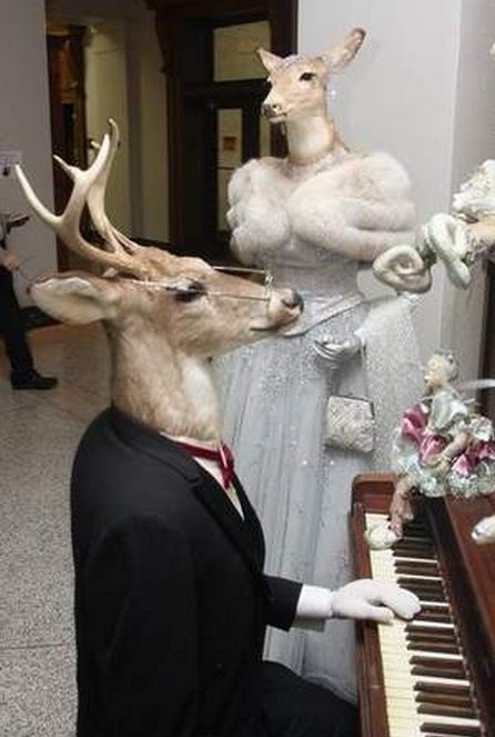 TrooperBenKs's tweet photo. All the deer R running around speed dating each other this time of year!
Stay alert !
#DeerDating https://t.co/BIM3ooQx4o