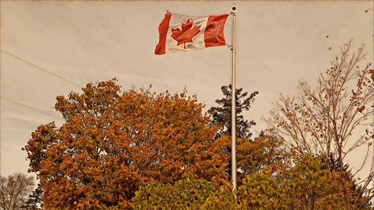 TedHudson_'s tweet photo. Flag #133 of 150 taken with some colourful autumn trees in #MountElgin for my #Canada150 photos. https://t.co/hIpGlf7XtQ https://t.co/8pqn58jYbK