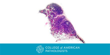 Pathologists's tweet photo. Elevating Pathology to an Art Form: 3 finalists from #cap17dc photo contest:  https://t.co/zHMtwvyH12. #pathart @SueEPig @ALBoothMD https://t.co/OKLmp2nKlk