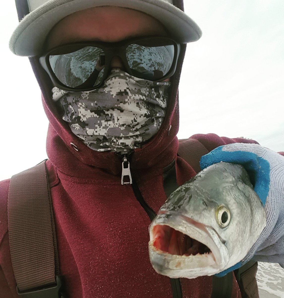 TopherDropshots's tweet photo. Closeup.
@amphibiaeyegear
#saltarmour
#blues
#brigantine https://t.co/IVOp0rCjBN