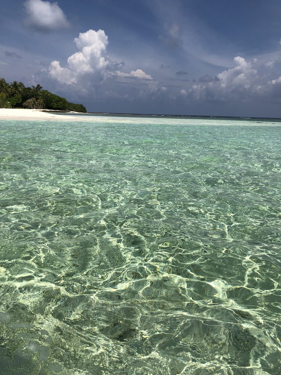 I found a paradise🐠#nofilterneeded #безфильтров