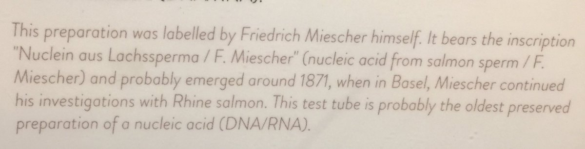 NDissmeyer's tweet photo. from the Tübingen Castle Laboratory, the place where #DNA was first seen aka #nuclein https://t.co/Absv8UDF8E