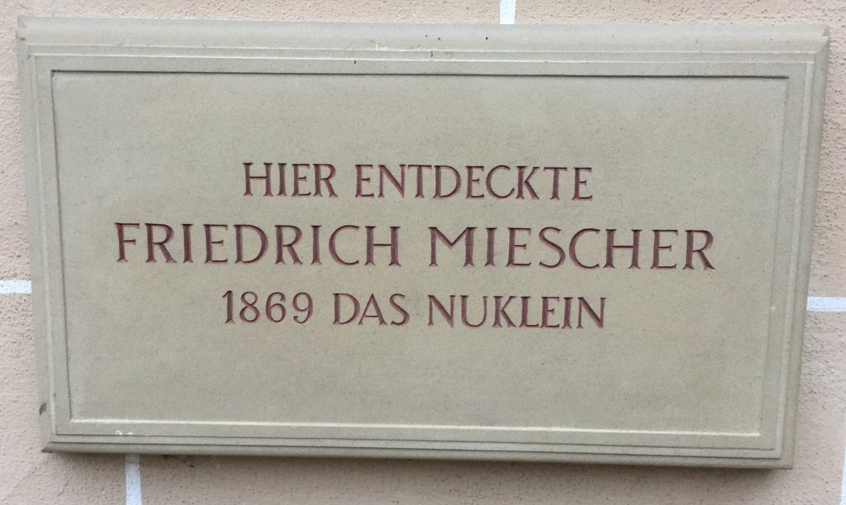 NDissmeyer's tweet photo. from the Tübingen Castle Laboratory, the place where #DNA was first seen aka #nuclein https://t.co/Absv8UDF8E