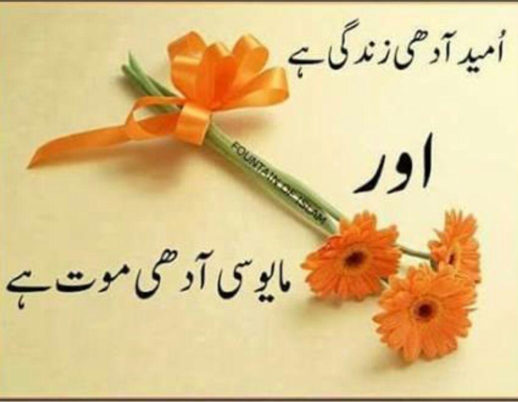 Maashal1144's tweet photo. Good Evening 🌺🌺 https://t.co/pYMjjb9Oab