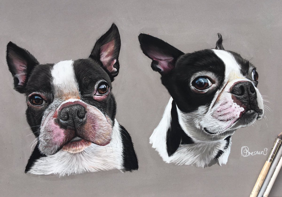 AdamsPortraits's tweet photo. Taking commissions for pets for xmas! Inbox me to chat more here are a few latest works...prices start from £150. @DogOneGrooming https://t.co/MW66uZQ1M2