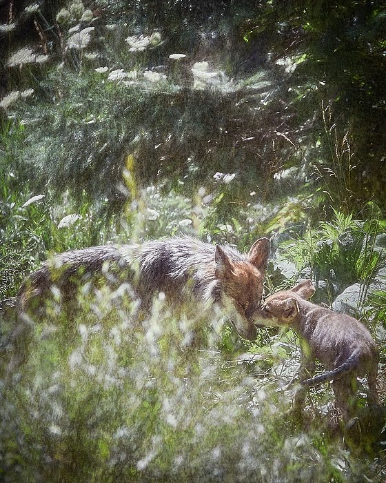 WillJacobyPhoto tweet picture