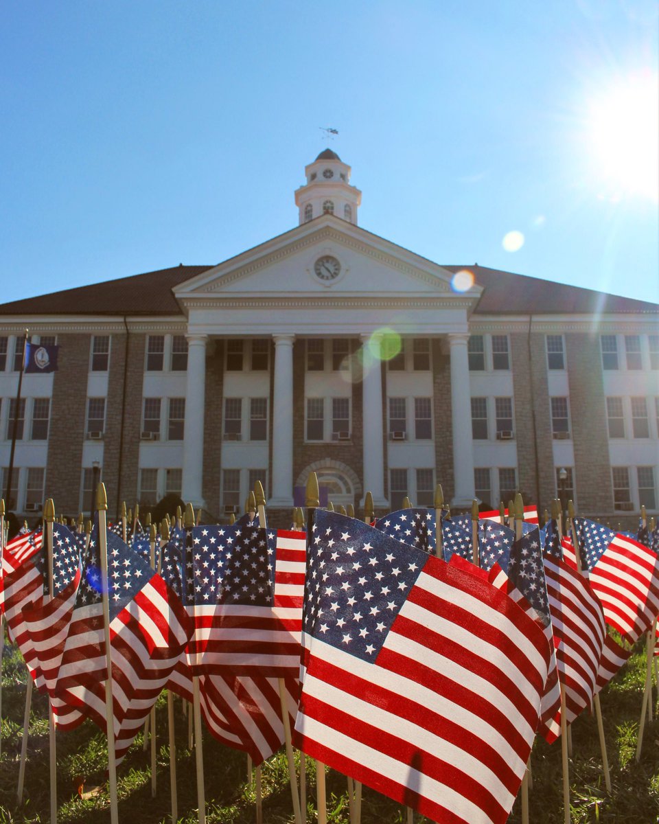 An amazing display of flags in honor of those who have served and are currently serving  in our nation’s military. #veteransday #jmu 💜💛🇺🇸