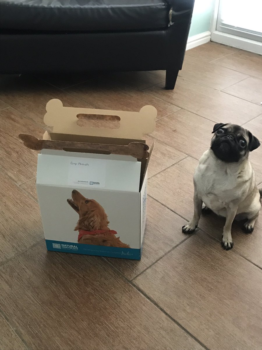 Emyr Phillips tweet media