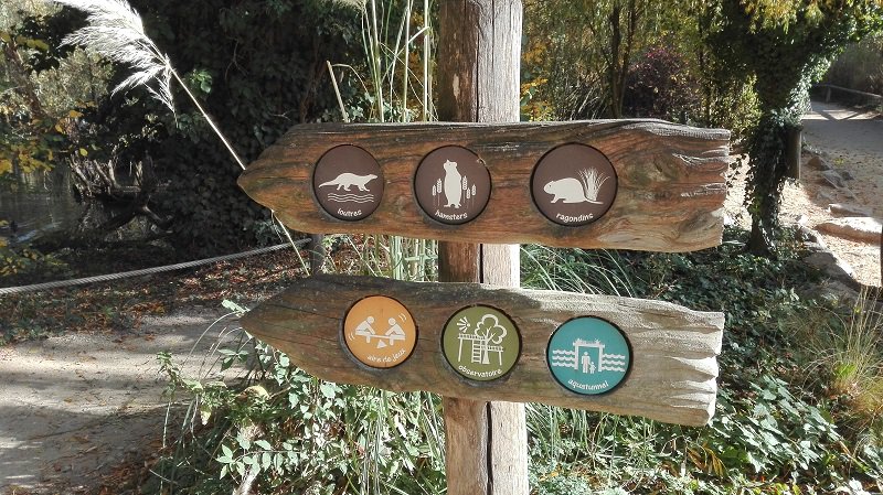 #PassAlsace : pour visiter de très nombreux sites en #famille en #Alsace. Super plan  k6.re/0Cnf7
