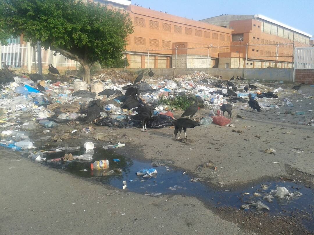 Manuelmbna's tweet photo. Nuestra ciudad está sumergida en la basura y la miseria, en un mes tenemos la gran aportunidad de sacar a los corruptos qué están en él poder. 

#CambiemosJuntos
#Barcelona #Anzoategui https://t.co/3YeXclMOLV
