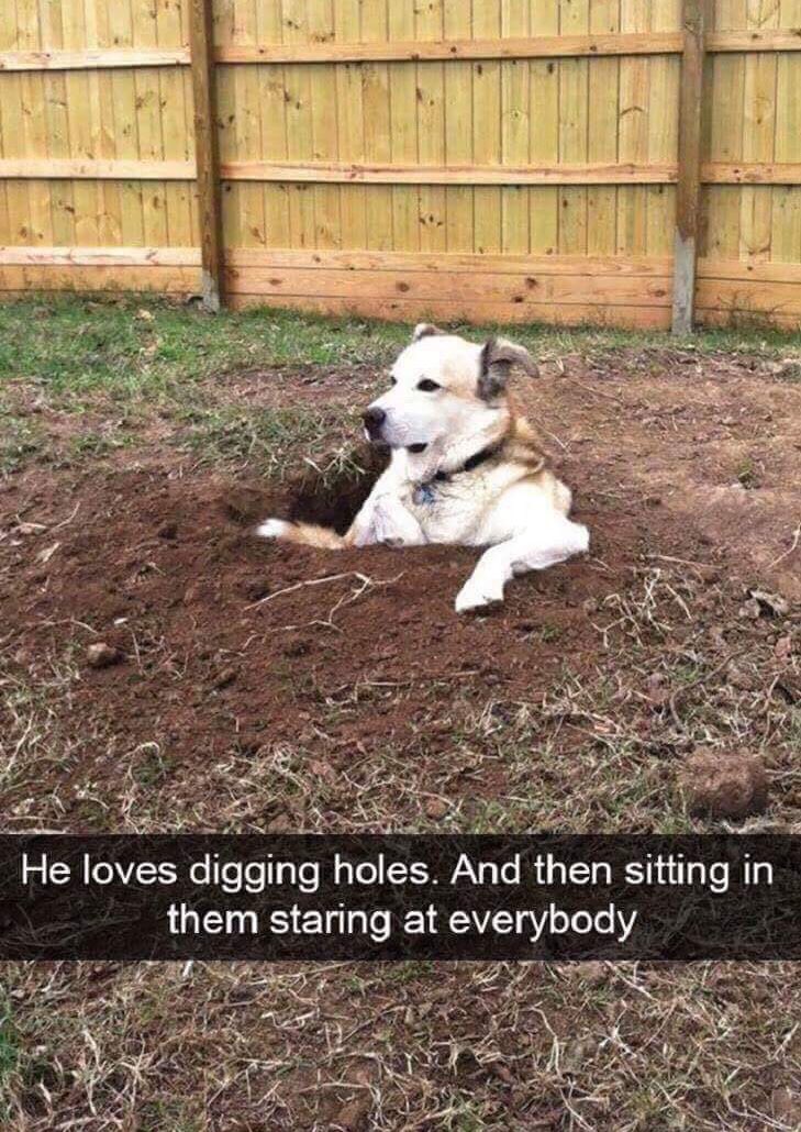 _HybridEarth's tweet photo. This made my day https://t.co/BLemKJgEX8