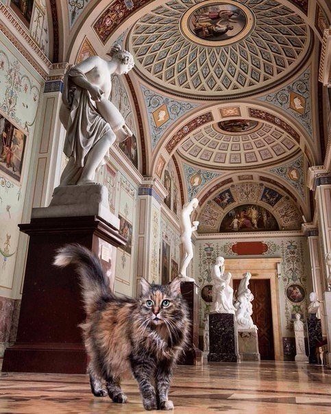 TourgratisRusia's tweet photo. Un Gato vigila en el Museo de San Petersburgo
https://t.co/eWYH4wRT2M
#excursionguiada #disfruta #travelphotography #latinosenrusia https://t.co/2tHrbWNK05