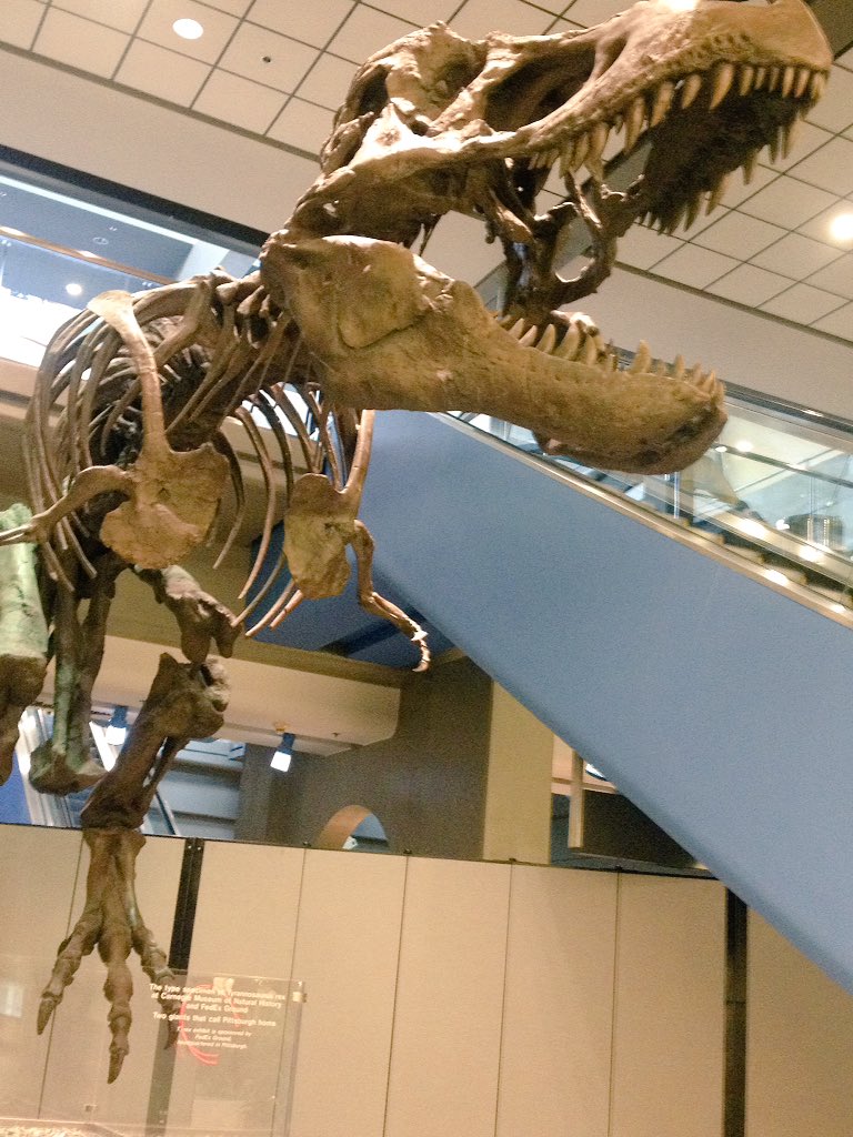 spintronicsHGW's tweet photo. Propably the cutest badge I ever had! T Rex escaped from Carnegie museum to airport, likes classic music, featuring Wagner. Leaving #MMM62 https://t.co/f8bFId7jIT